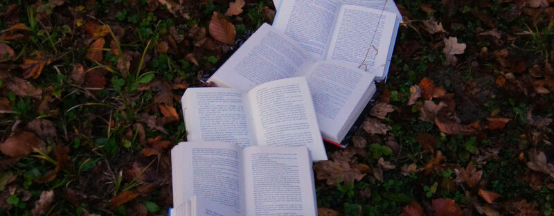 ein Weg aus aufgeschlagenen Büchern, Betsyversum, Kinkerlitzchen